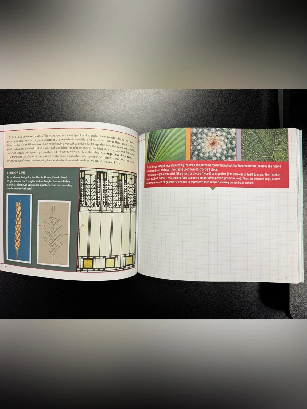 How to Think Like Frank Lloyd Wright Activity Book Future Architects NEW